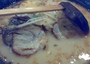 味千拉面西大街店
