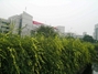 西南石油大学北区